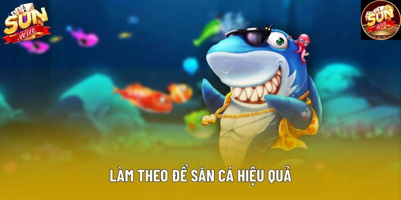 Làm theo để săn cá hiệu quả Làm theo để săn cá hiệu quả